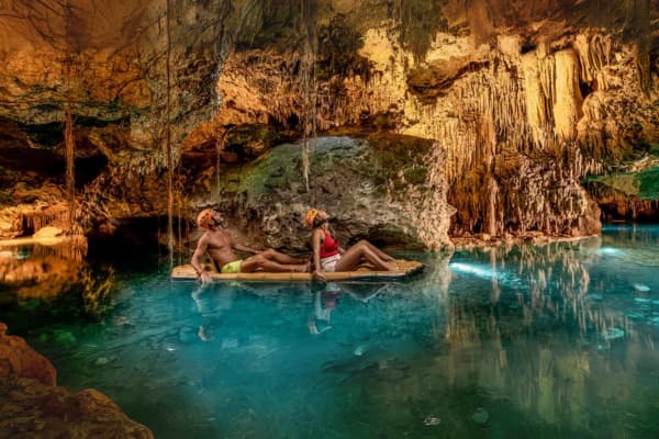 Tour Avistamiento de Ballena Gris