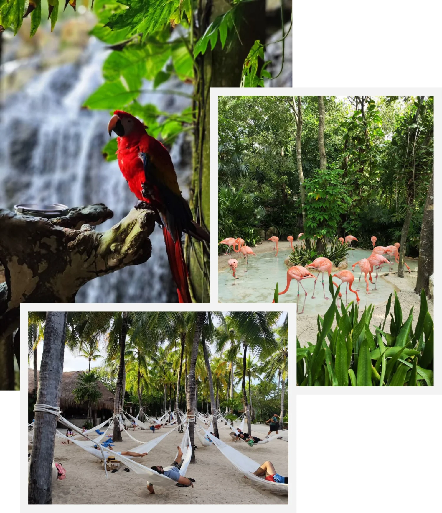 transporte Ximbal Baja Sur